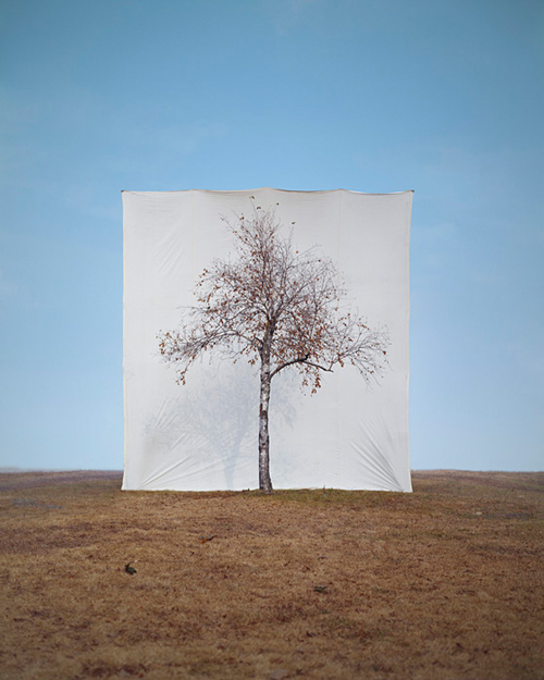 Myoung Ho Lee_Web2 art blog - Myoung Ho Lee - empty kingdom
