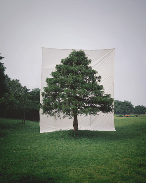 Myoung Ho Lee_Web3 art blog - Myoung Ho Lee - empty kingdom