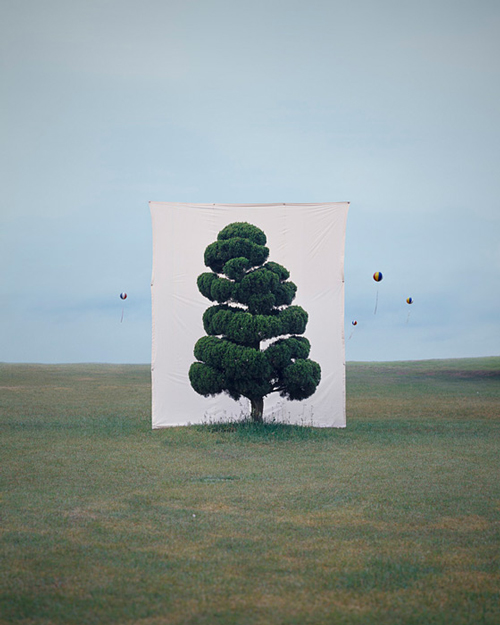 Myoung Ho Lee_Web4 art blog - Myoung Ho Lee - empty kingdom