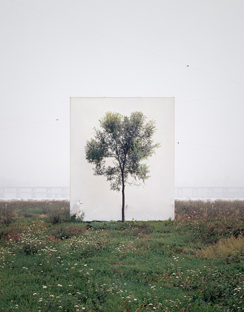 Myoung Ho Lee_Web5 art blog - Myoung Ho Lee - empty kingdom
