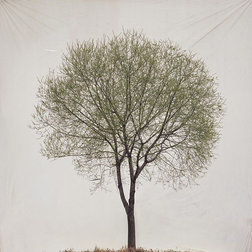 Myoung Ho Lee_Web6 art blog - Myoung Ho Lee - empty kingdom