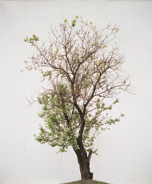 Myoung Ho Lee_Web7 art blog - Myoung Ho Lee - empty kingdom