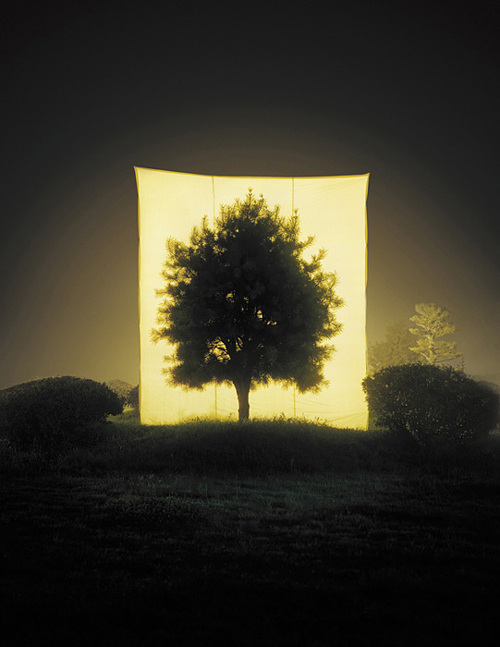 Myoung Ho Lee_Web8 art blog - Myoung Ho Lee - empty kingdom