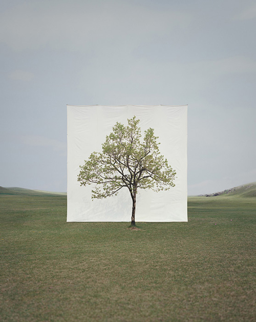 Myoung Ho Lee_Web9 art blog - Myoung Ho Lee - empty kingdom