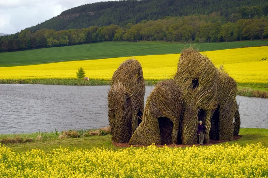 Art Blog - Patrick Dougherty - Empty Kingdom