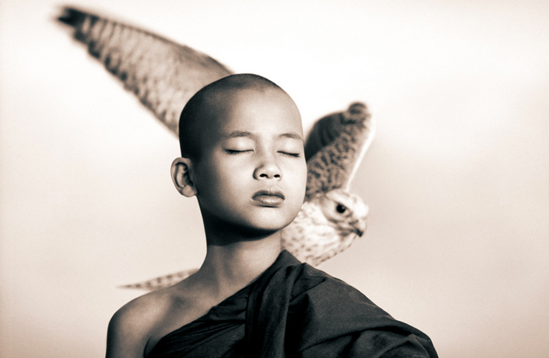 Gregory Colbert_Web1 art blog - gregory colbert - empty kingdom