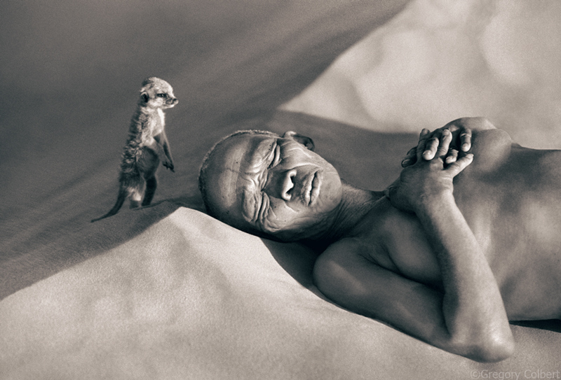Gregory Colbert_Web2 art blog - gregory colbert - empty kingdom