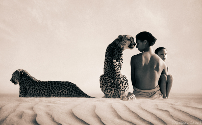 Gregory Colbert_Web4 art blog - gregory colbert - empty kingdom