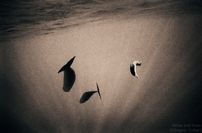 Gregory Colbert_Web9 art blog - gregory colbert - empty kingdom