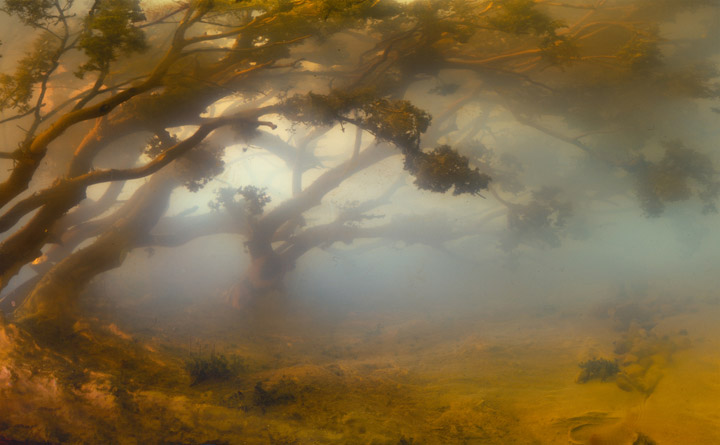 Kim-Keever_web10 art blog - Kim Keever - empty kingdom