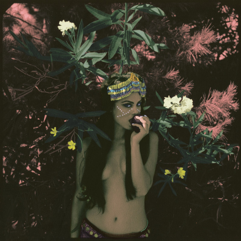 Neil-Krug_web10 art blog - Neil Krug - empty kingdom