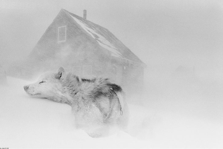 axelsson_web17 Art Blog - Ragnar Axelsson - Empty Kingdom