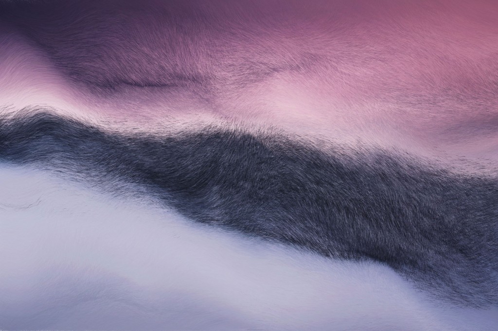 Art Blog - Andreas Nicholas Fischer - Empty Kingdom