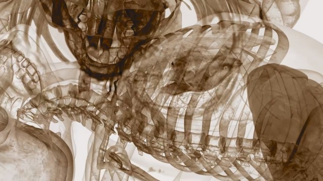 1_e_Brian-Andrews,-Ex'pression-College-for-Digial-Arts-_Hominid