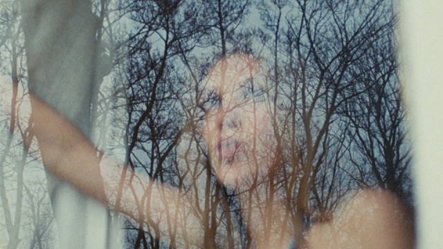 9_e_Wim-van-der-Aar-_The-Van-Waveren-Tapes