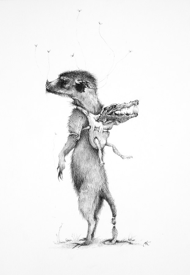 art blog - Adonna Khare - empty kingdom