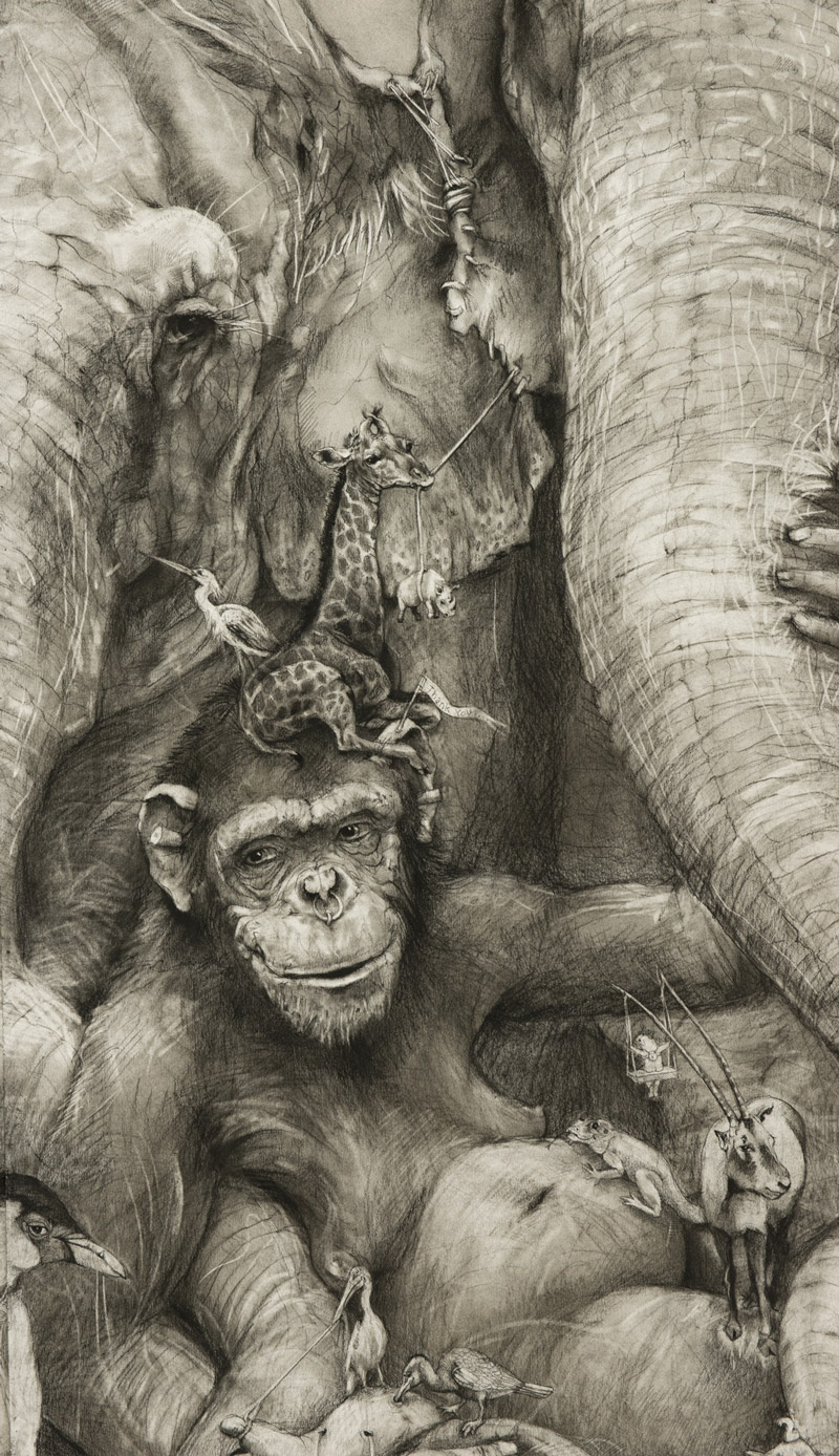 art blog - Adonna Khare - empty kingdom