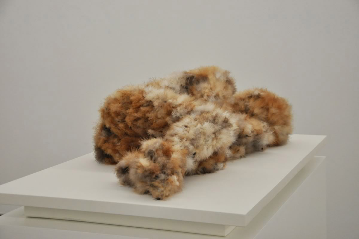 Art Blog - Lucy Glendinning - Empty Kingdom