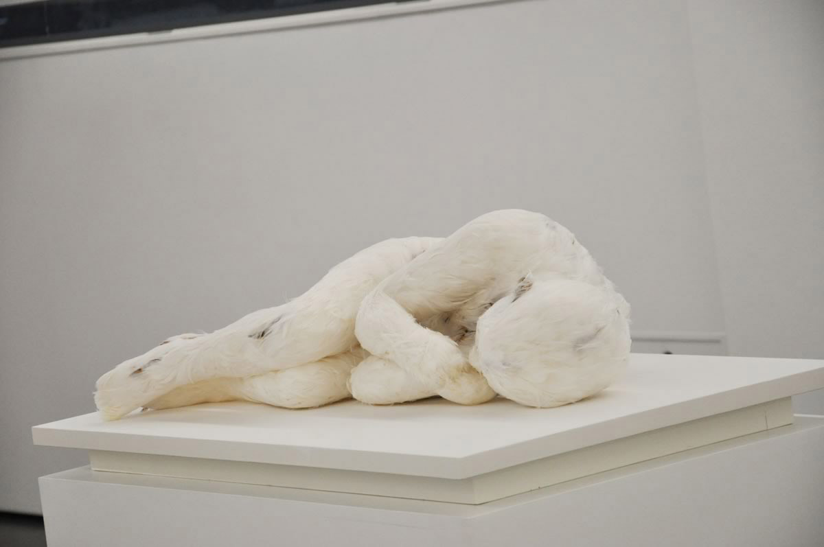 Art Blog - Lucy Glendinning - Empty Kingdom