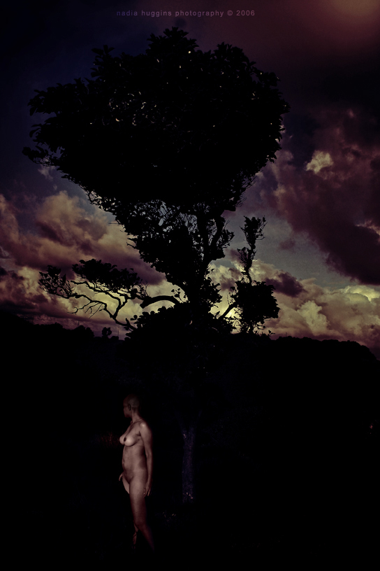 Nadia-Huggins_web20 art blog - Nadia Huggins - empty kingdom