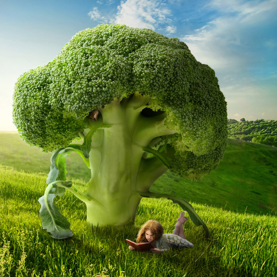 brocolli_tree_by_shorra-d35iowz