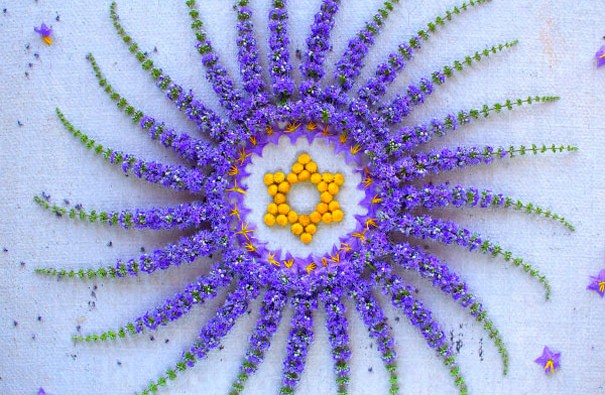 flower-mandalas-kathy-klein-2