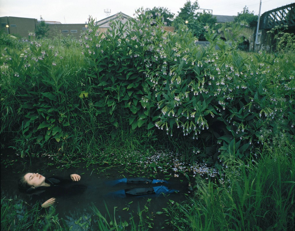 Art Blog - Tom Hunter - Empty Kingdom