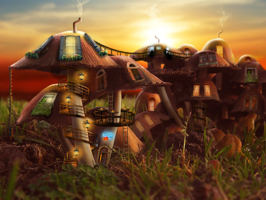 mushroom_community_by_shorra-d50r4ua