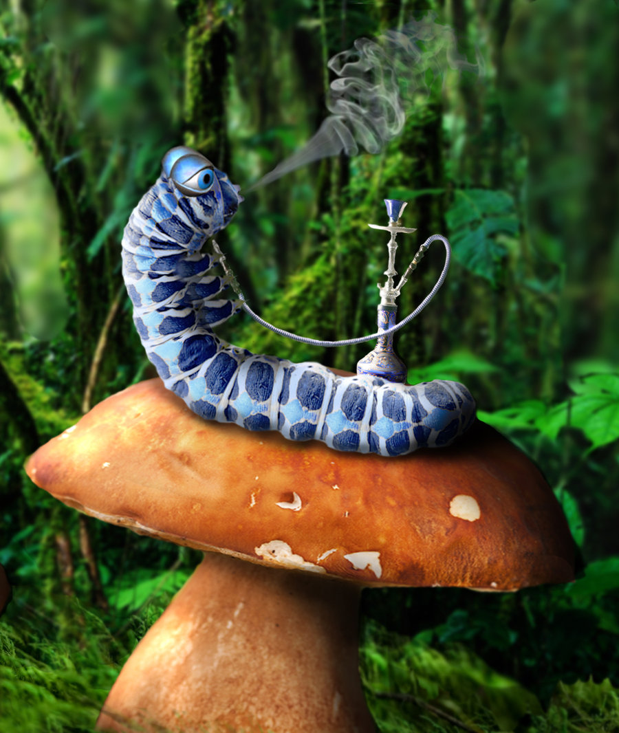 wonderland_caterpillar_by_shorra-d35inst