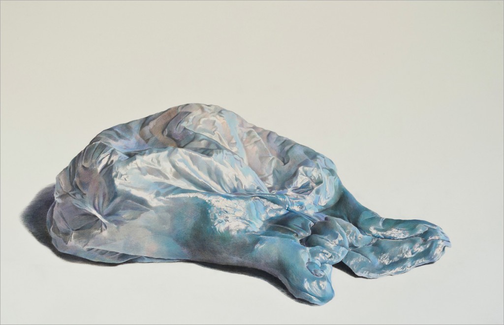 art blog - Julia Randall - Empty Kingdom