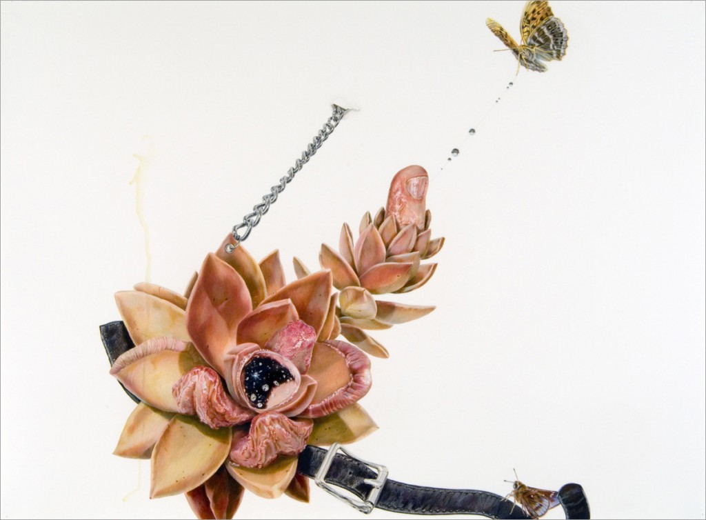 art blog - Julia Randall - Empty Kingdom