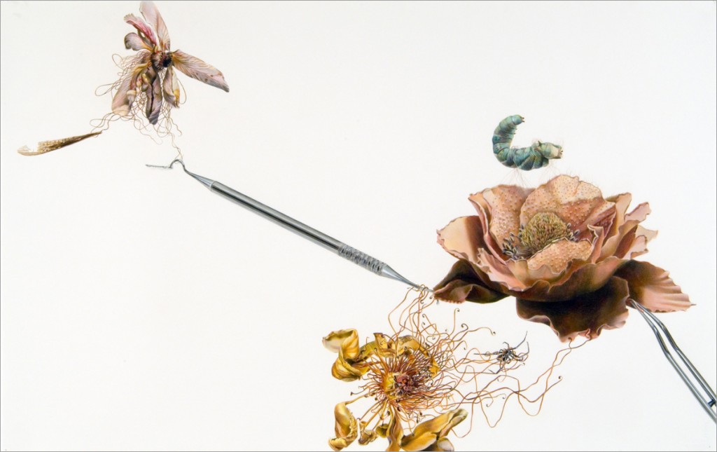 art blog - Julia Randall - Empty Kingdom