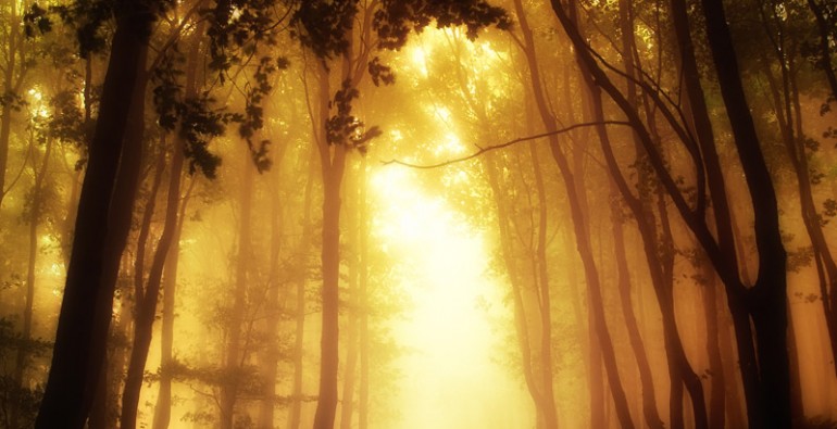 art blog - Janek Sedlar - empty kingdom