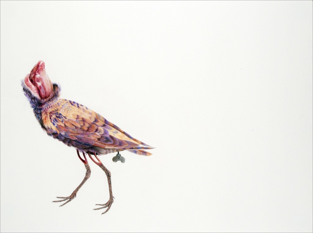art blog - Julia Randall - Empty Kingdom