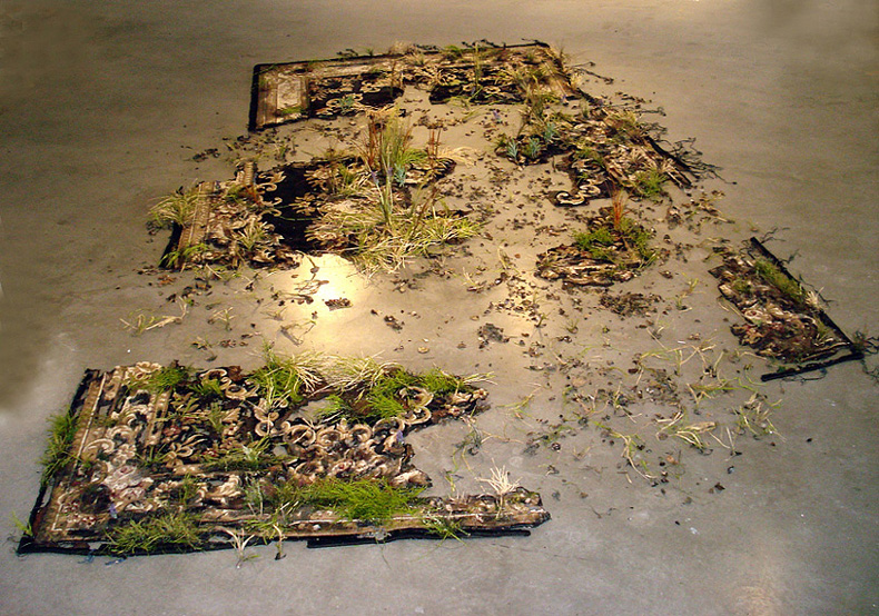 Valerie-Hegarty_Web9 art blog - Valerie Hegarty - empty kingdom