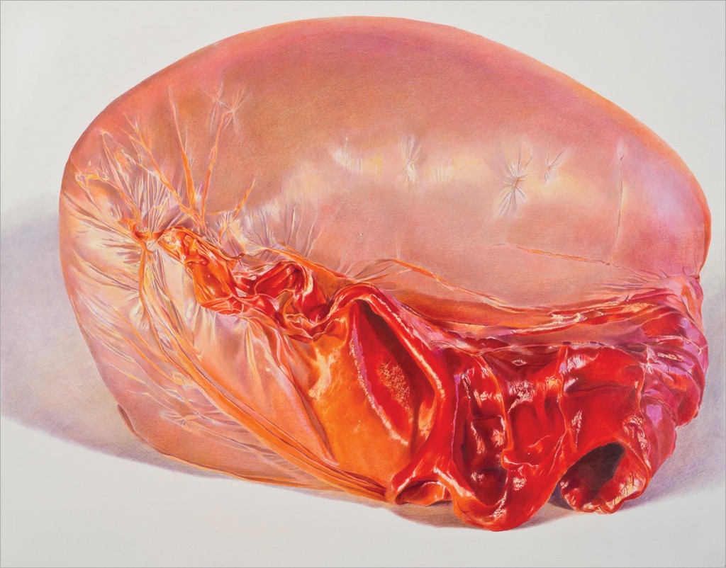 art blog - Julia Randall - Empty Kingdom