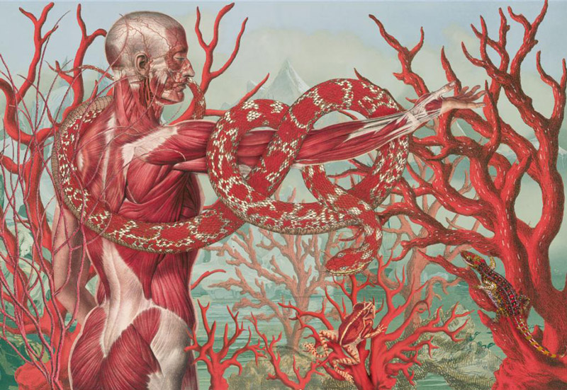 Juan-Gatti_EKTOP2012 art blog - Juan Gatti - empty kingdom