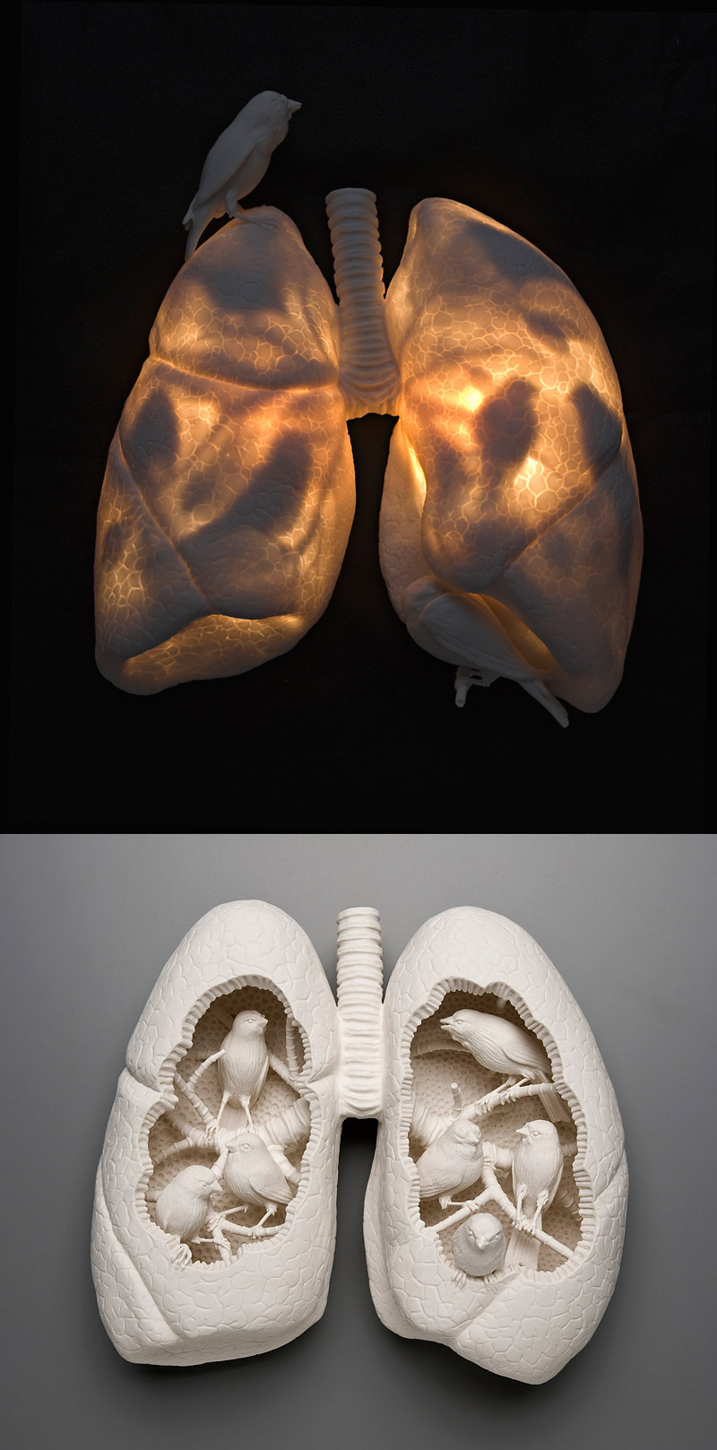 Kate-MacDowell_EKTOP2012 art blog - Kate MacDowell - empty kingdom