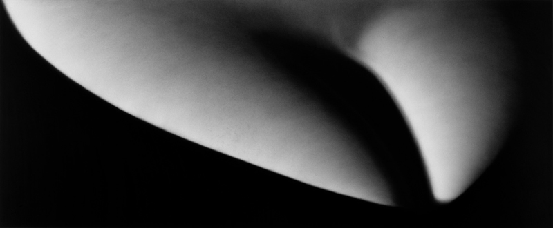 art blog - Robert Longo - empty kingdom