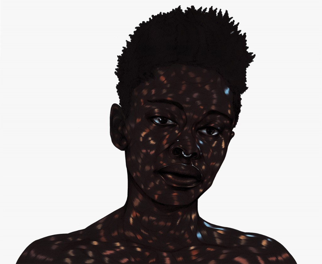 Art Blog - Toyin Odutola - Empty Kingdom