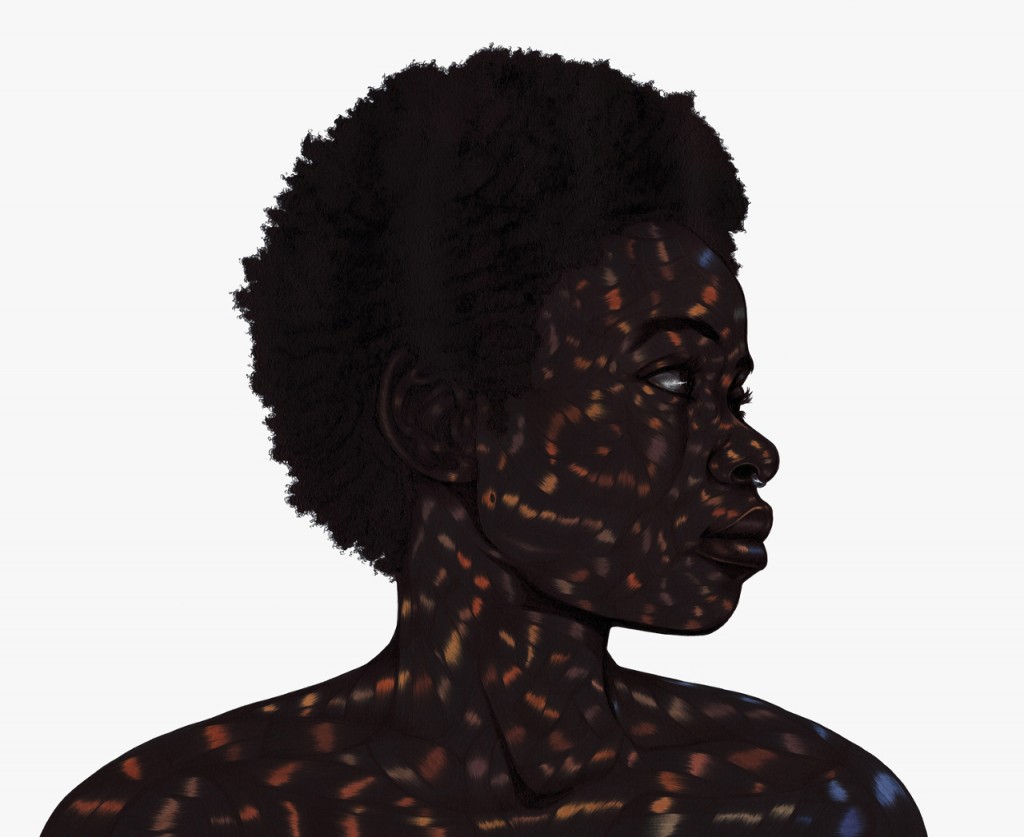 Art Blog - Toyin Odutola - Empty Kingdom