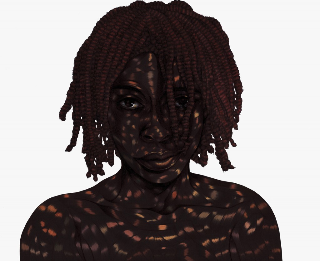 Art Blog - Toyin Odutola - Empty Kingdom