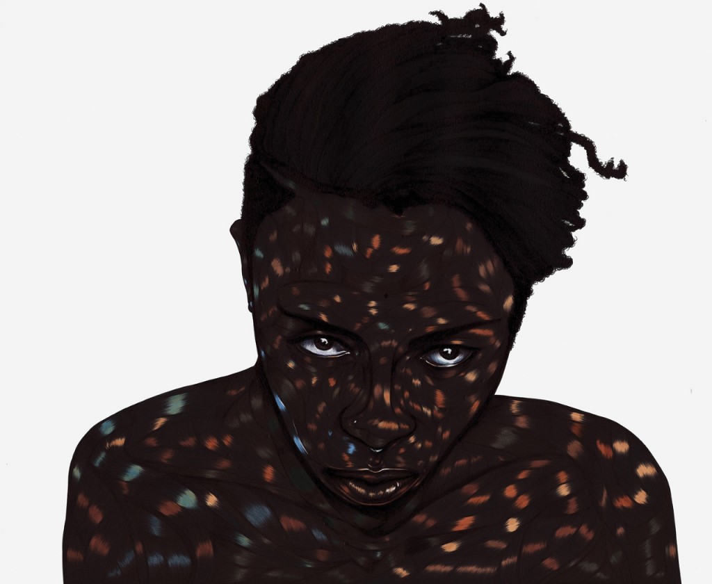 Art Blog - Toyin Odutola - Empty Kingdom