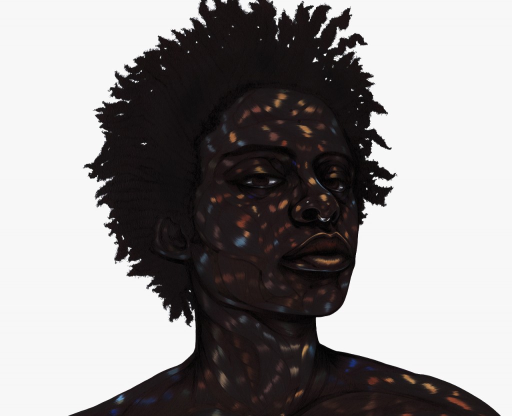 Art Blog - Toyin Odutola - Empty Kingdom