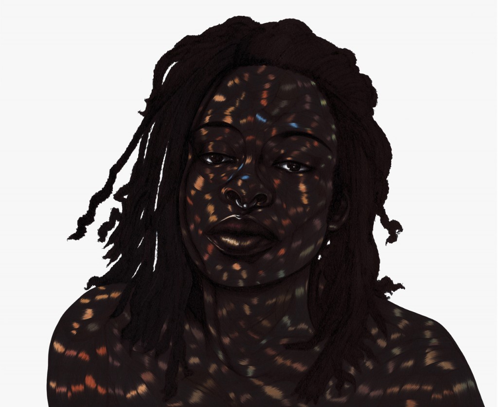 Art Blog - Toyin Odutola - Empty Kingdom