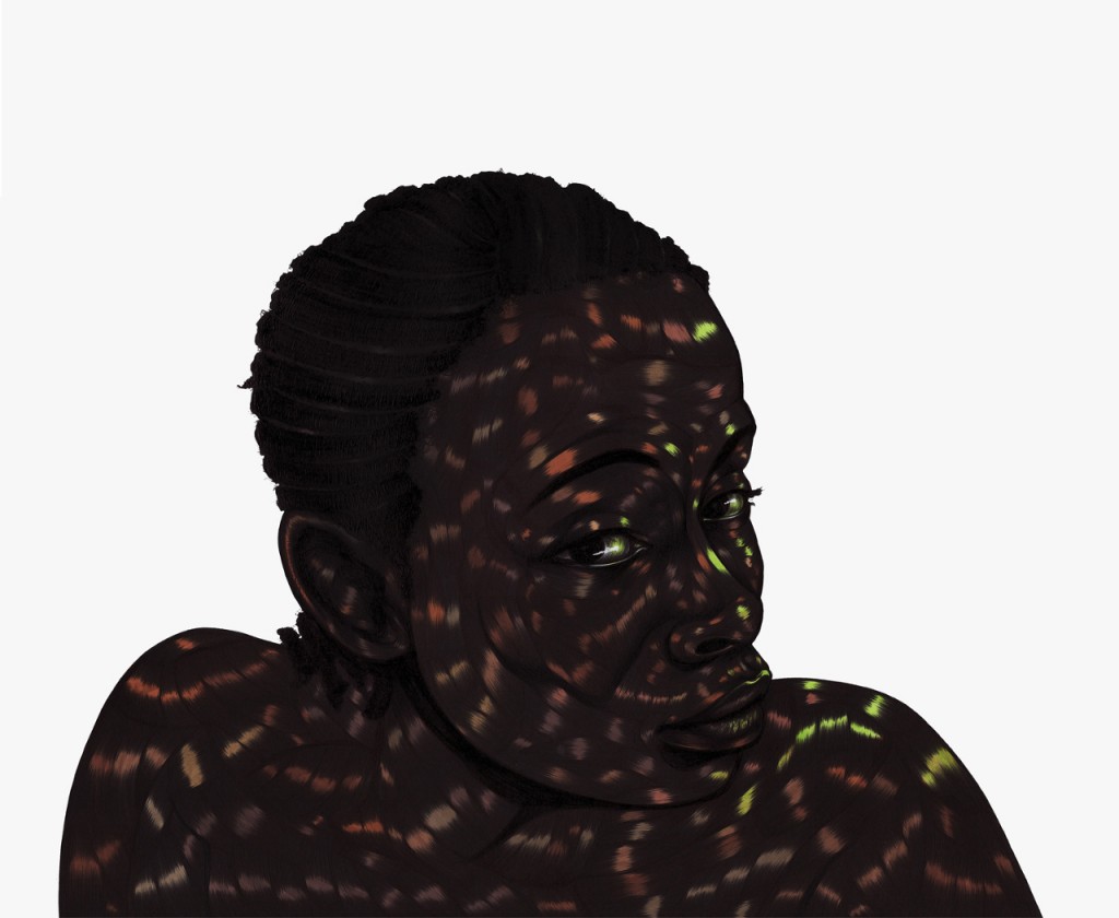 Art Blog - Toyin Odutola - Empty Kingdom