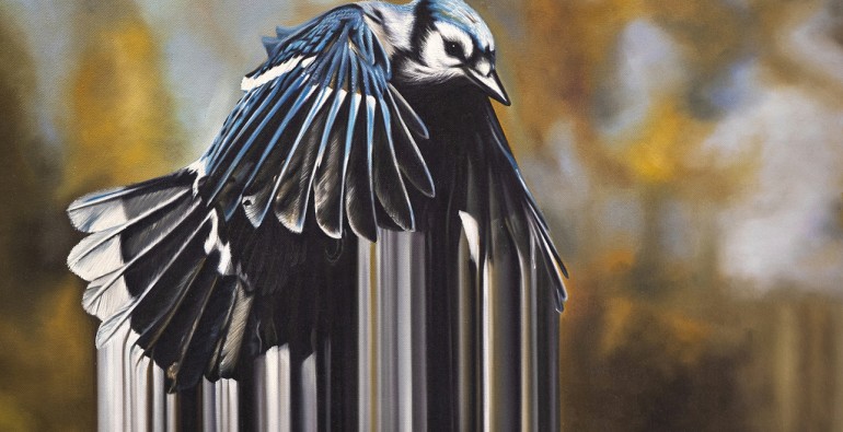 4534261203_cd96be552f_b