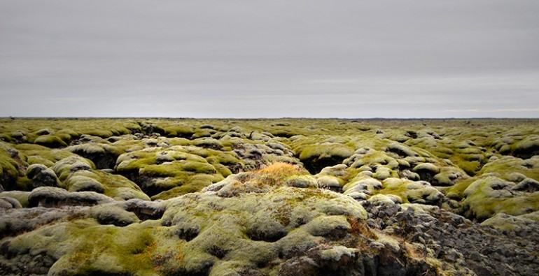 Akos Major_Web1