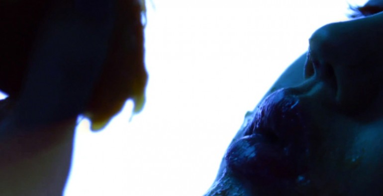Art Blog - Animal Collective, Gaspar Noe - Empty Kingdom