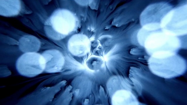 Art Blog - Grizzly Bear, Kris Moyes - Empty Kingdom